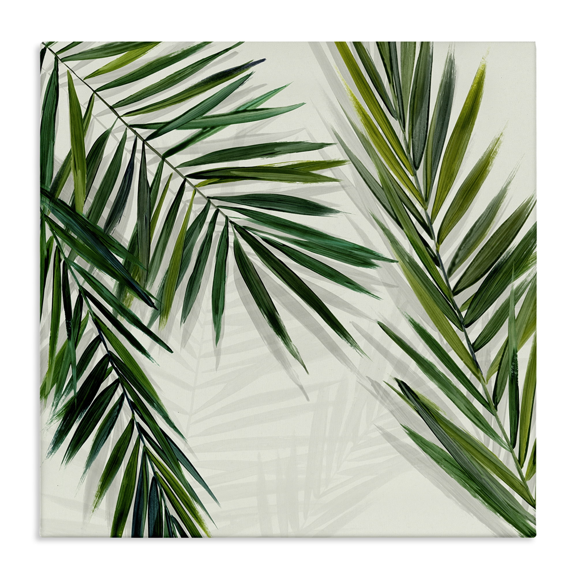 Stupell Industries Restful Palms with Shadows Plants & Flowers Painting Wrapped Canvas Art Print Wall Art, 24 x 24
