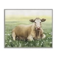 thumbnail image 1 of Stupell Industries Resting Beige Cow Animals & Insects Painting Gray Framed Art Print Wall Art, 14 x 11, 1 of 10