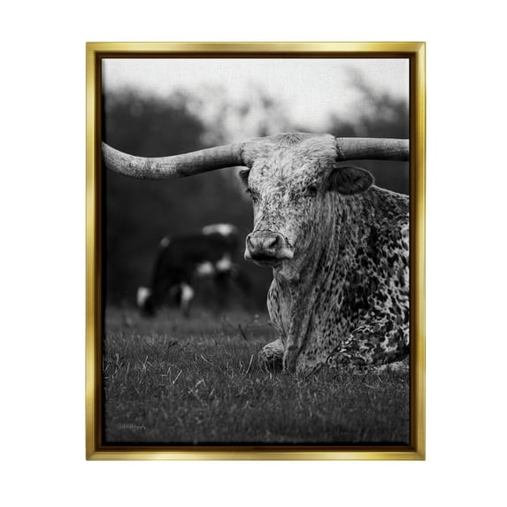 Stupell Industries Resting Longhorn Photography Animals & Insects Photography Gold Floater Framed Canvas Art Print Wall Art, 17 x 21