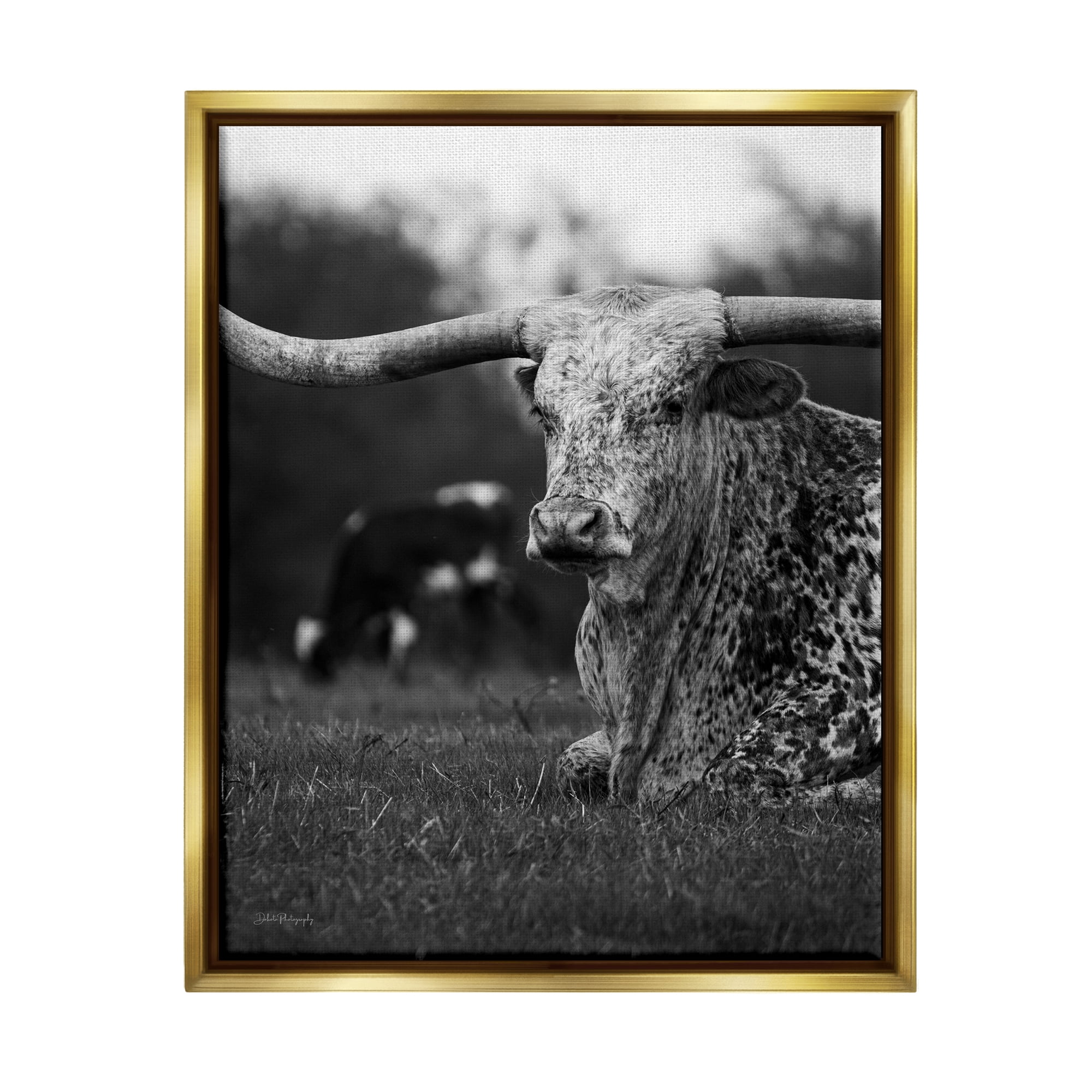 Stupell Industries Resting Longhorn Photography Animals & Insects Photography Gold Floater Framed Canvas Art Print Wall Art, 25 x 31