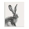 thumbnail image 1 of Stupell Industries Resting Wild Hare Portrait Bold Face Rabbit Illustration, 10 x 15, Design by Emma Caroline, 1 of 6