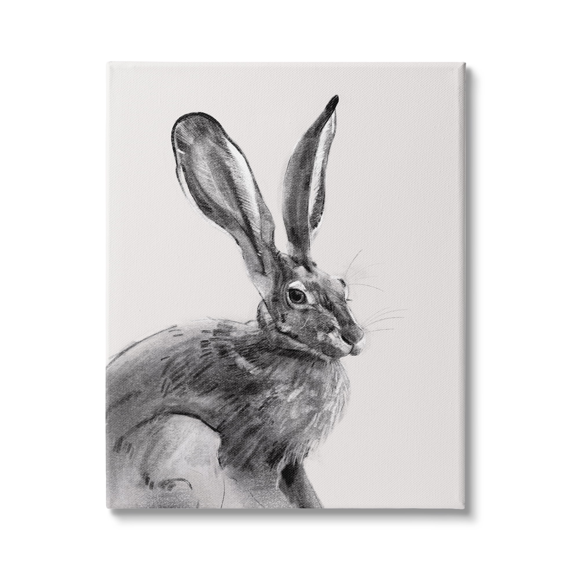 Stupell Industries Resting Wild Hare Portrait Bold Face Rabbit Illustration, 36 x 48, Design by Emma Caroline