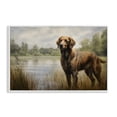 thumbnail image 1 of Stupell Industries Coastal Retriever Dog & Pond White Framed Giclee Art, 24 x 16, by Petals Prints Design, 1 of 8