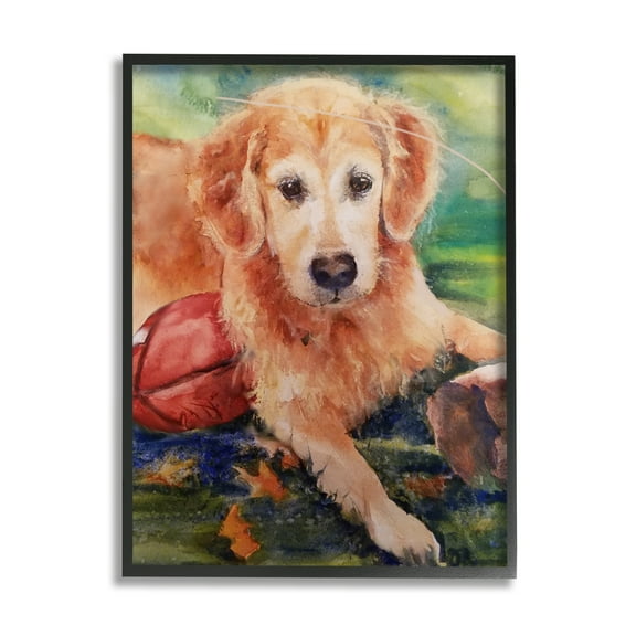 Stupell Industries Retriever Dog with Football Animals & Insects Painting Black Framed Art Print Wall Art, 11 x 14
