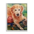 thumbnail image 1 of Stupell Industries Retriever Dog with Football Animals & Insects Painting White Framed Art Print Wall Art, 16 x 20, 1 of 9