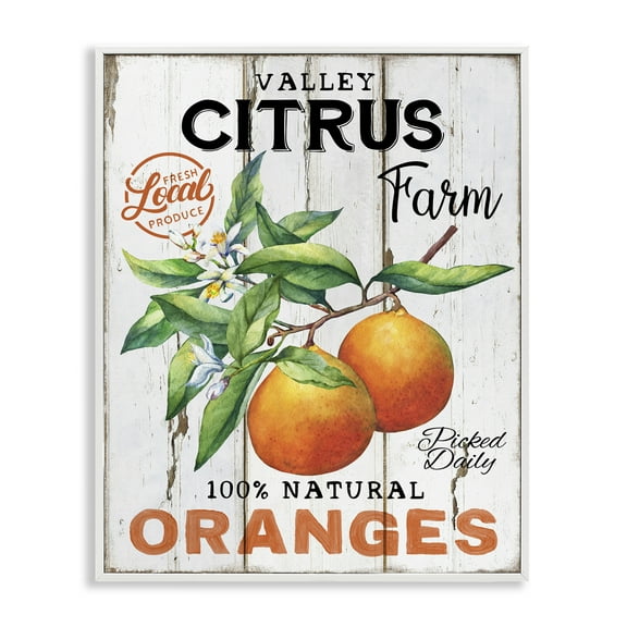 Stupell Industries Retro Citrus Farm Food & Beverage Painting White Framed Art Print Wall Art, 16 x 20
