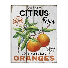 Stupell Industries Retro Citrus Farm Food & Beverage Painting Wrapped Canvas Art Print Wall Art, 16 x 20