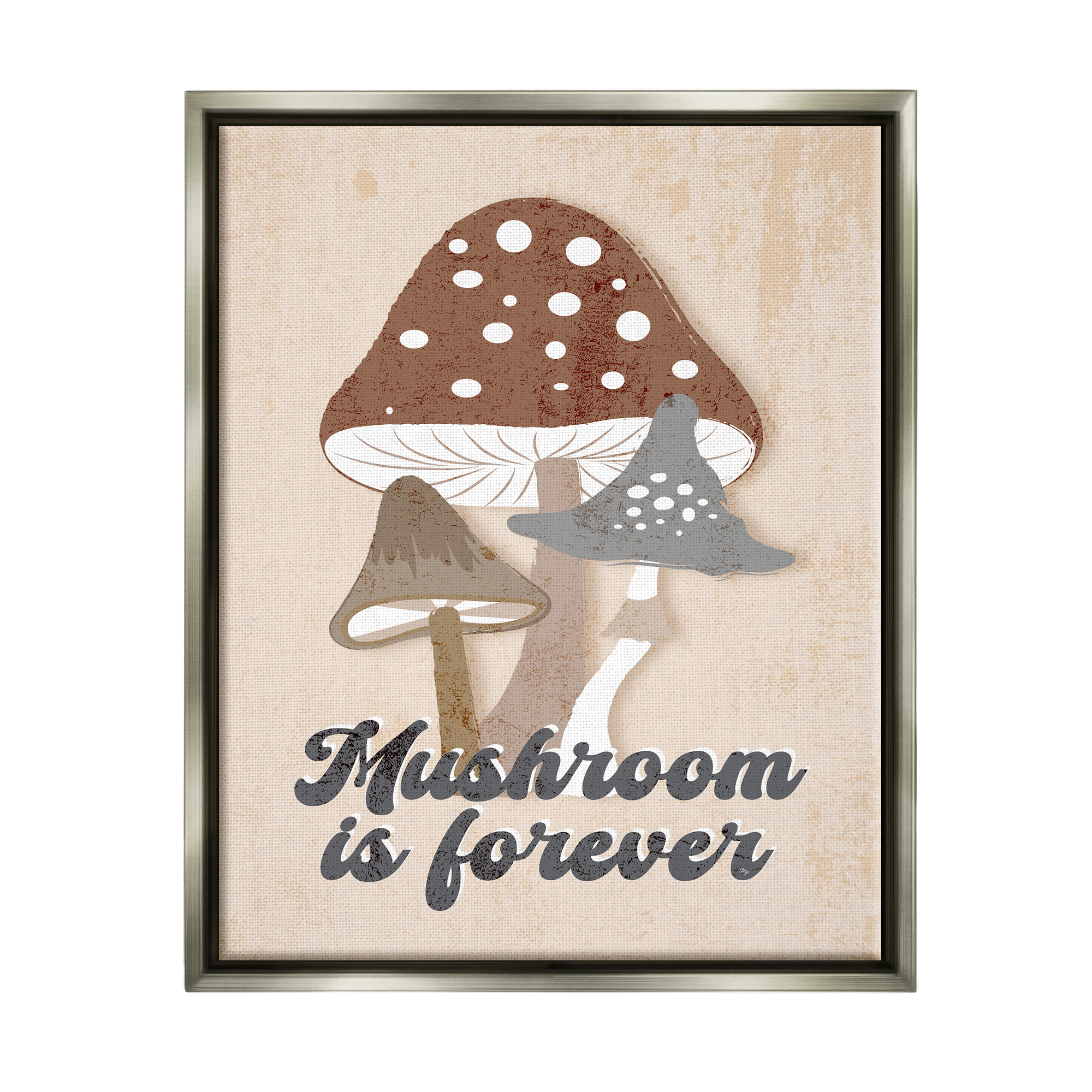 Stupell Industries Retro Mushroom is Forever Botanical & Floral Painting Gray Floater Framed Canvas Art Print Wall Art, 17 x 21