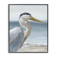 thumbnail image 1 of Stupell Industries Tropical Right Gazing Heron Black Framed Giclee Art, 11 x 14, by Nan, 1 of 8
