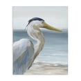 thumbnail image 1 of Stupell Industries Tropical Right Gazing Heron Canvas Art, 16 x 20, by Nan, 1 of 8