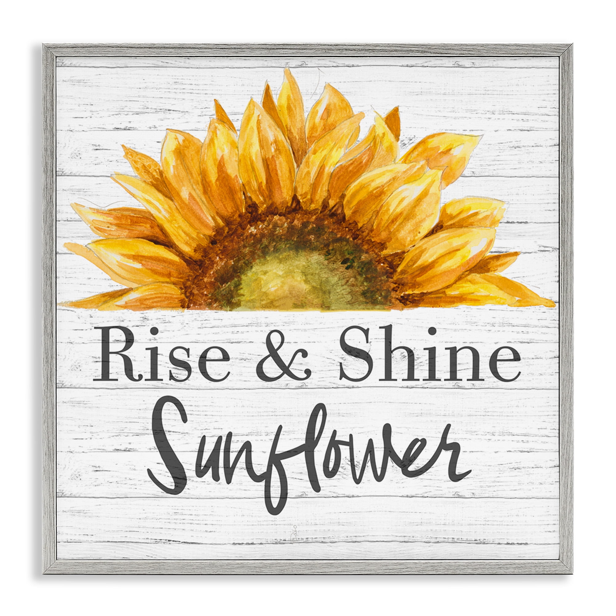 Stupell Industries Rise and Shine Sunflower Botanical & Floral Painting Gray Framed Art Print Wall Art, 12 x 12