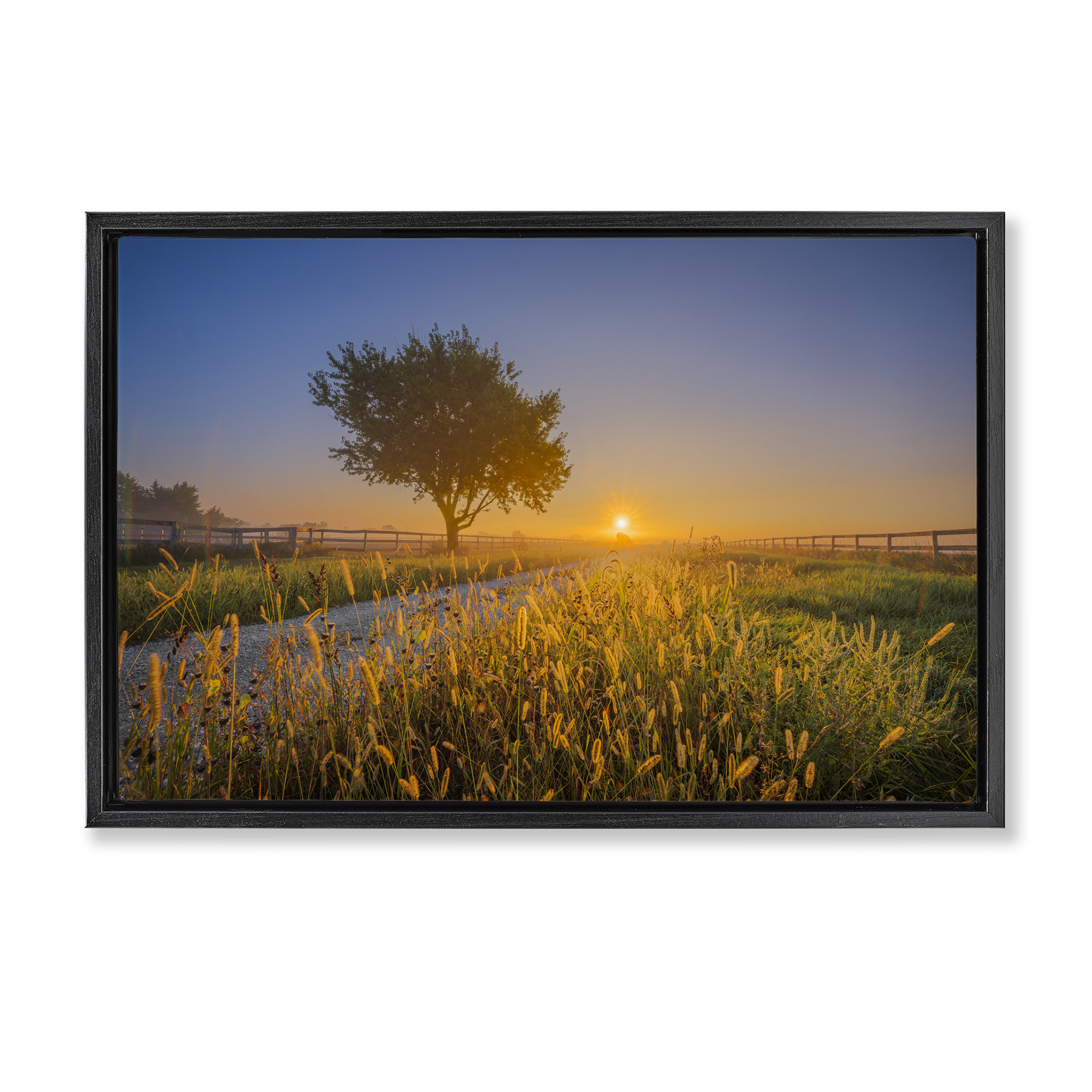 Stupell Industries Rising Sun Horizon Landscape & Nature Photography Black Floater Framed Canvas Art Print Wall Art, 31 x 21