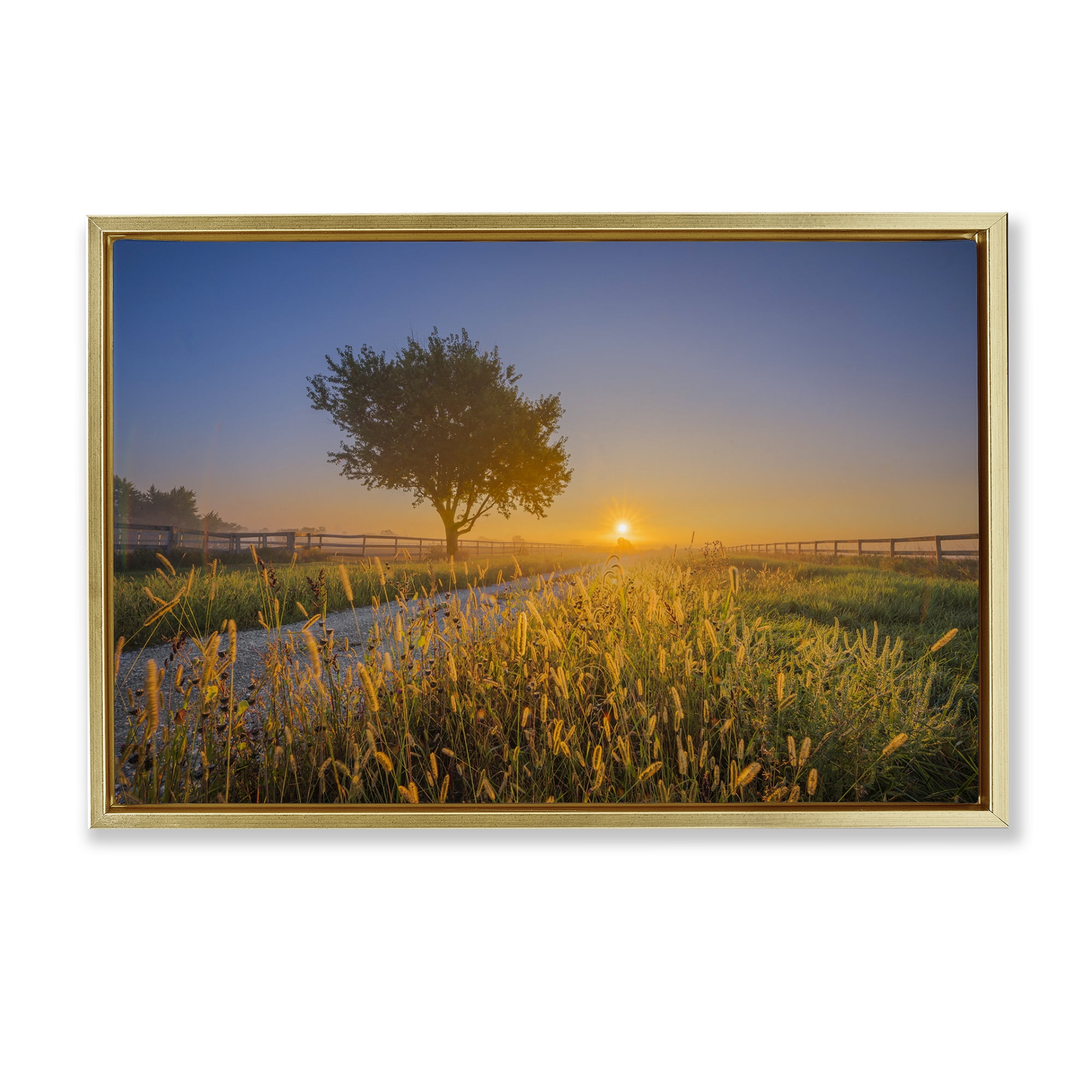 Stupell Industries Rising Sun Horizon Landscape & Nature Photography Gold Floater Framed Canvas Art Print Wall Art, 25 x 17