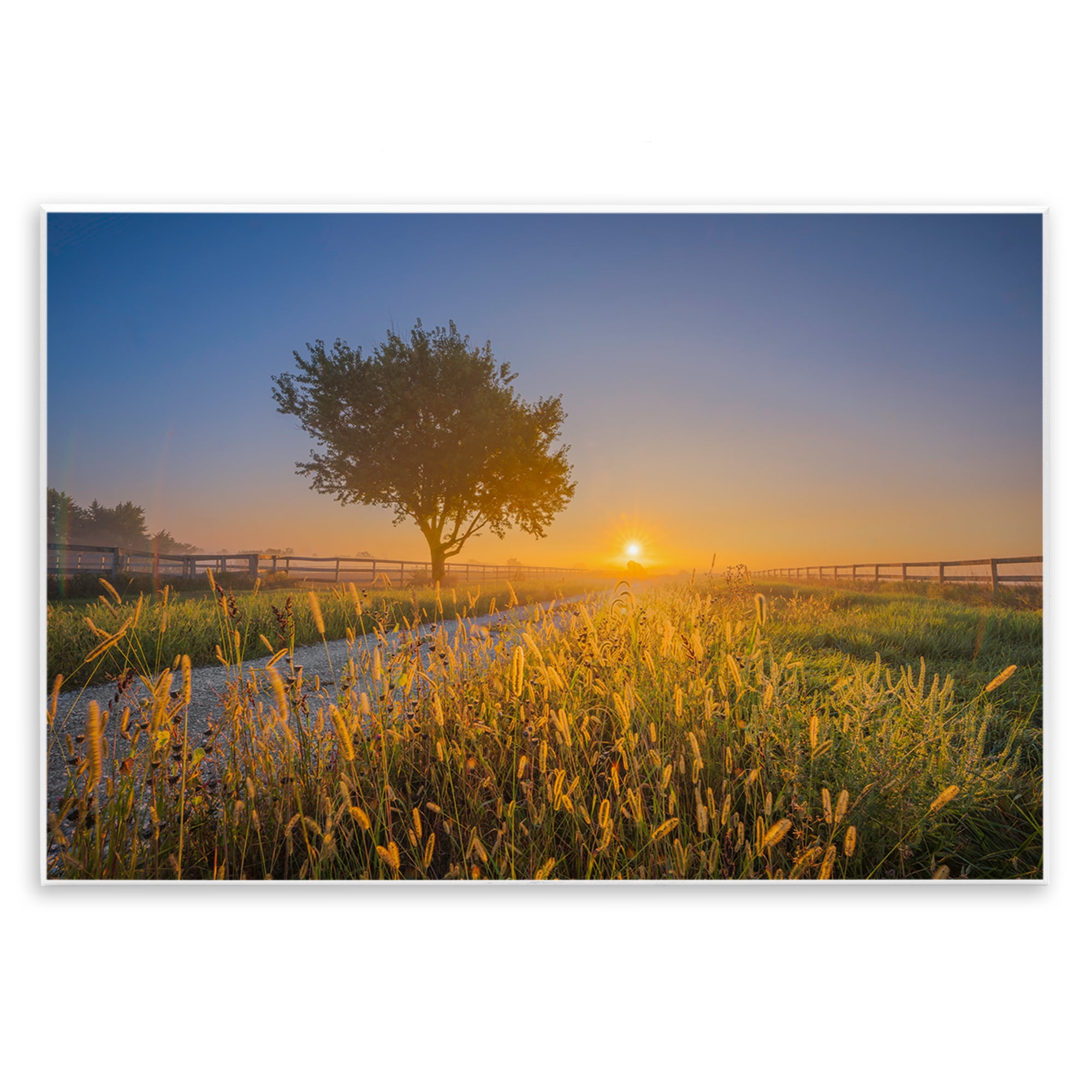Stupell Industries Rising Sun Horizon Landscape & Nature Photography Unframed Art Print Wall Art, 15 x 10