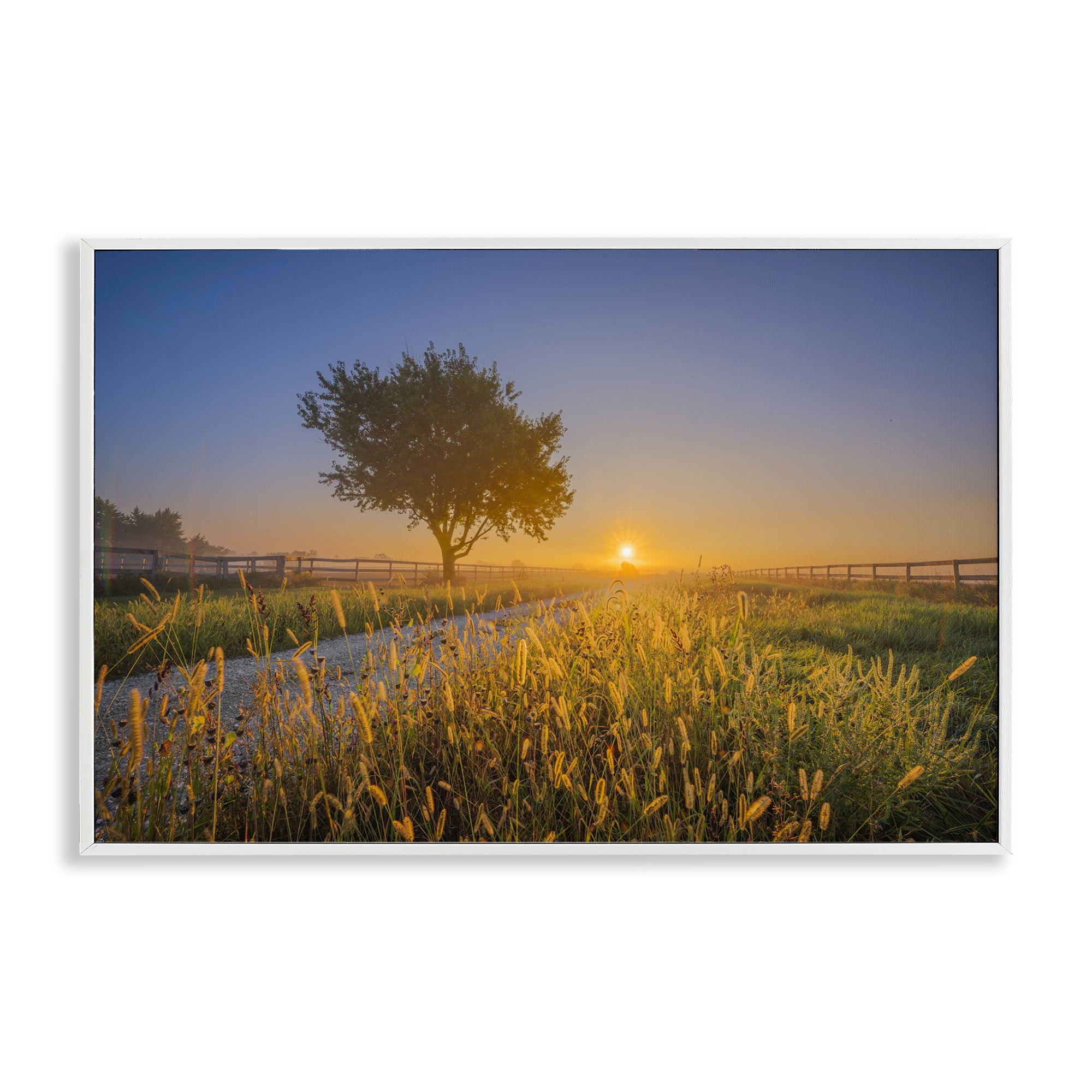 Stupell Industries Rising Sun Horizon Landscape & Nature Photography White Framed Art Print Wall Art, 24 x 16