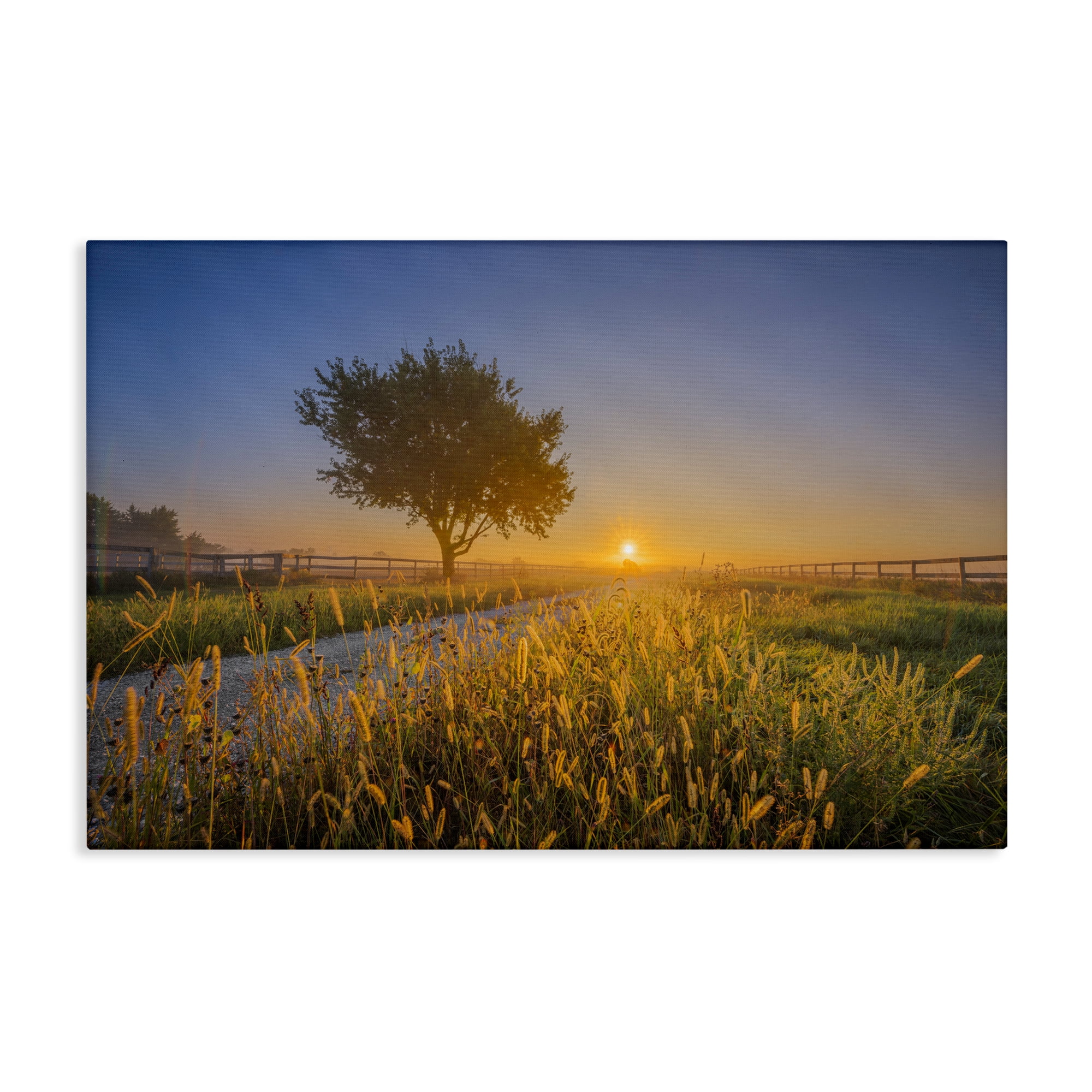 Stupell Industries Rising Sun Horizon Landscape & Nature Photography Wrapped Canvas Art Print Wall Art, 45 x 30