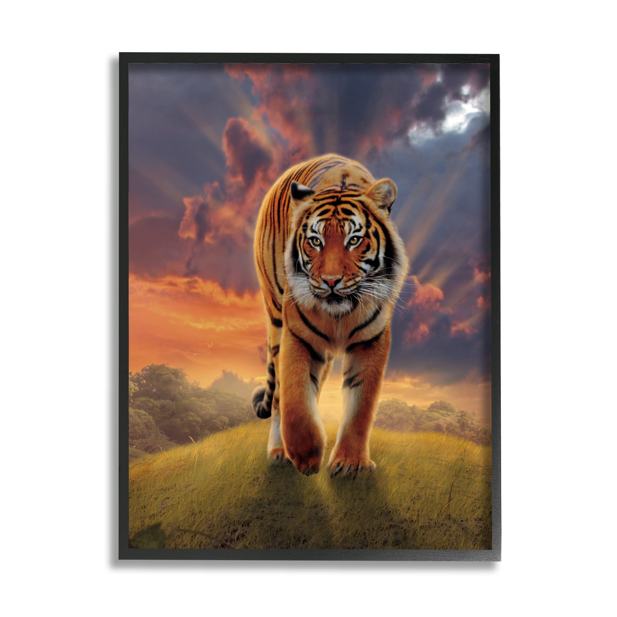 Stupell Industries Rising Tiger Sunset Animals & Insects Painting Black Framed Art Print Wall Art, 24 x 30