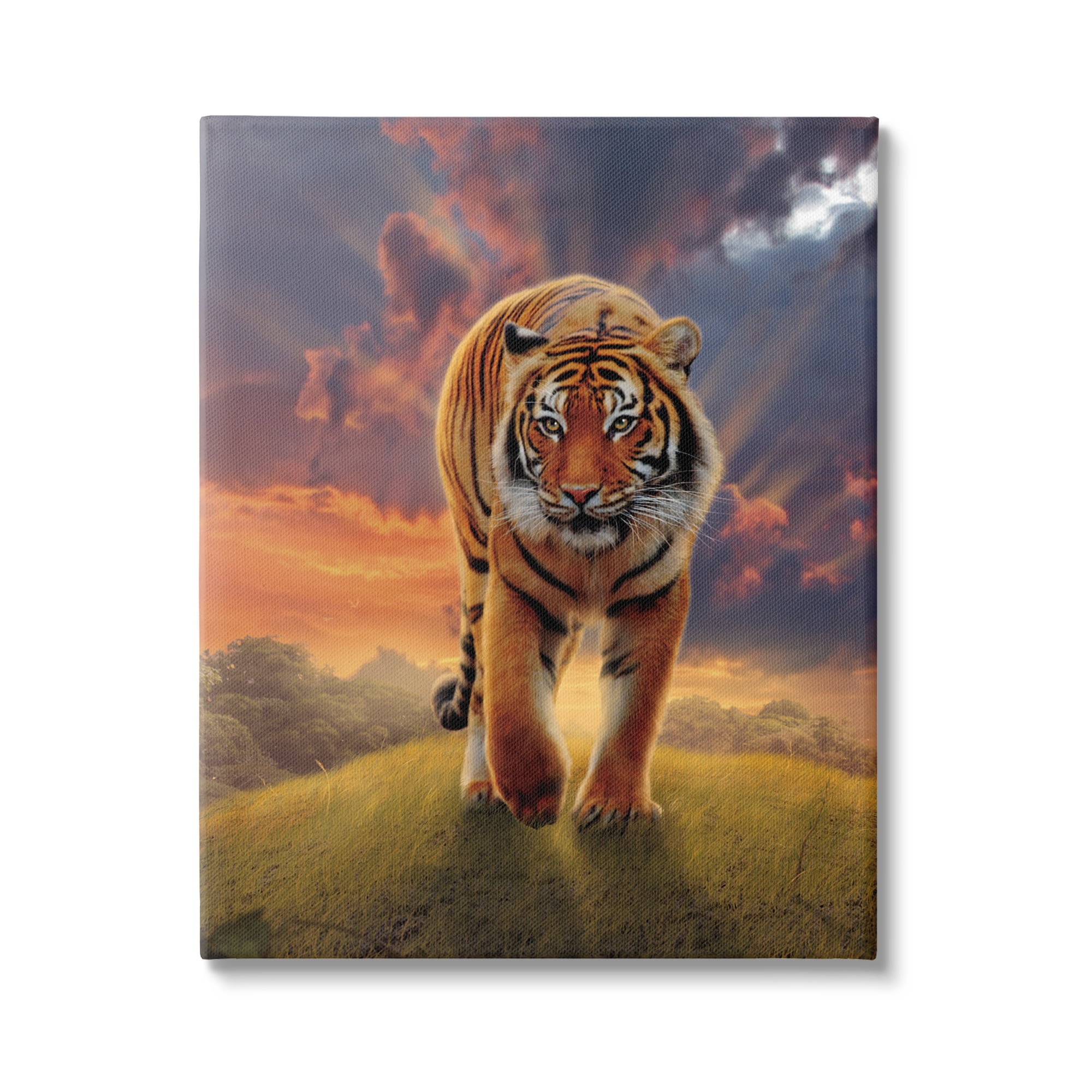 Stupell Industries Rising Tiger Sunset Animals & Insects Painting Gallery Wrapped Canvas Art Print Wall Art, 36 x 48