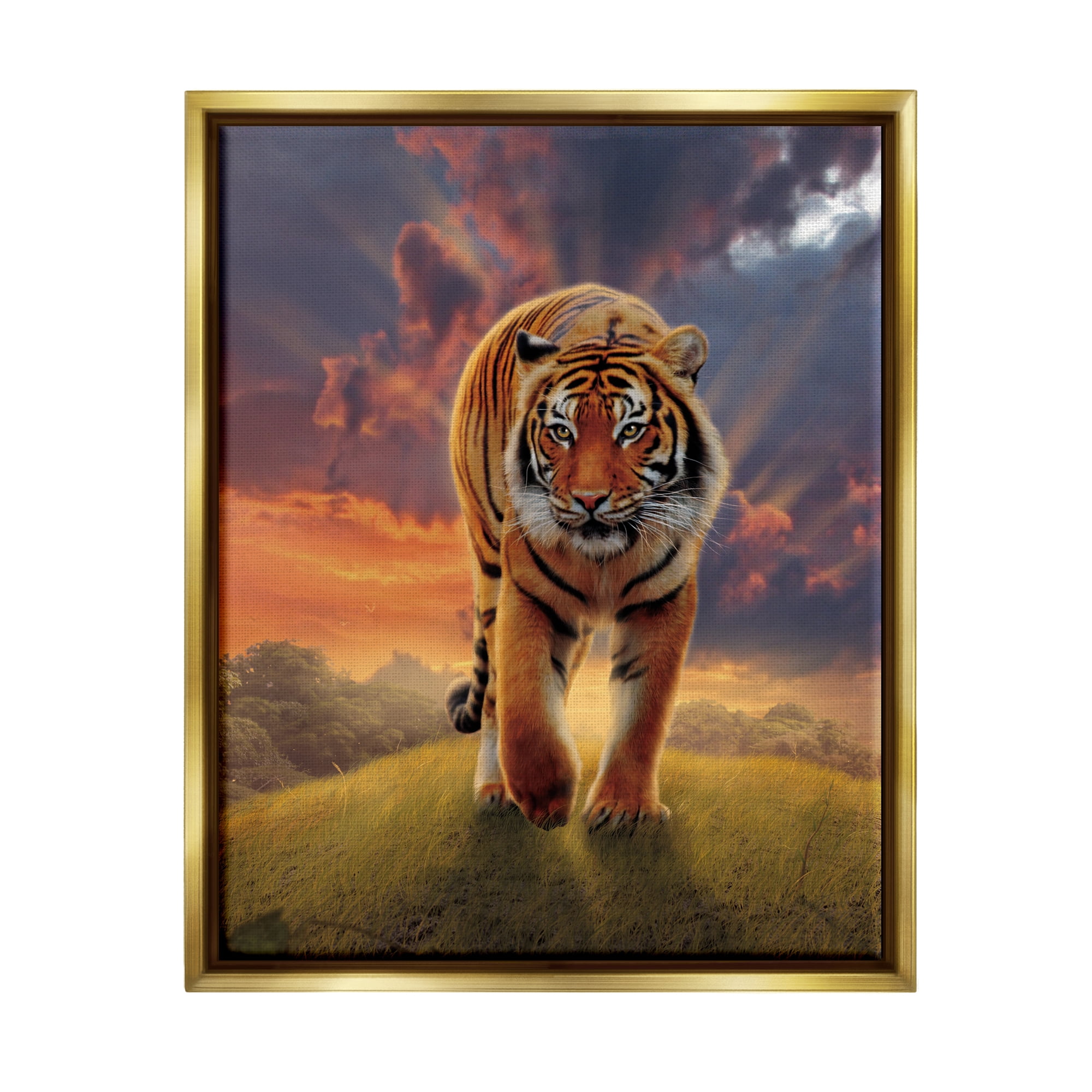 Stupell Industries Rising Tiger Sunset Animals & Insects Painting Gold Floater Framed Canvas Art Print Wall Art, 17 x 21