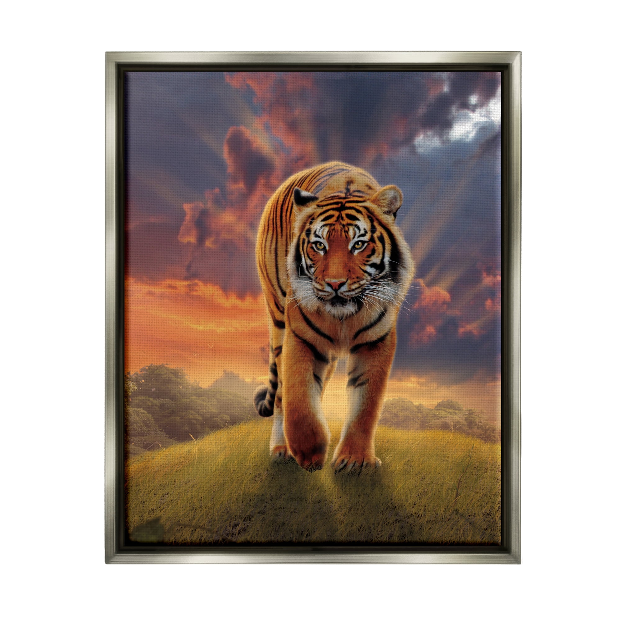 Stupell Industries Rising Tiger Sunset Animals & Insects Painting Gray Floater Framed Canvas Art Print Wall Art, 17 x 21