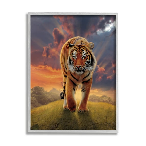 Stupell Industries Rising Tiger Sunset Animals & Insects Painting Gray Framed Art Print Wall Art, 11 x 14