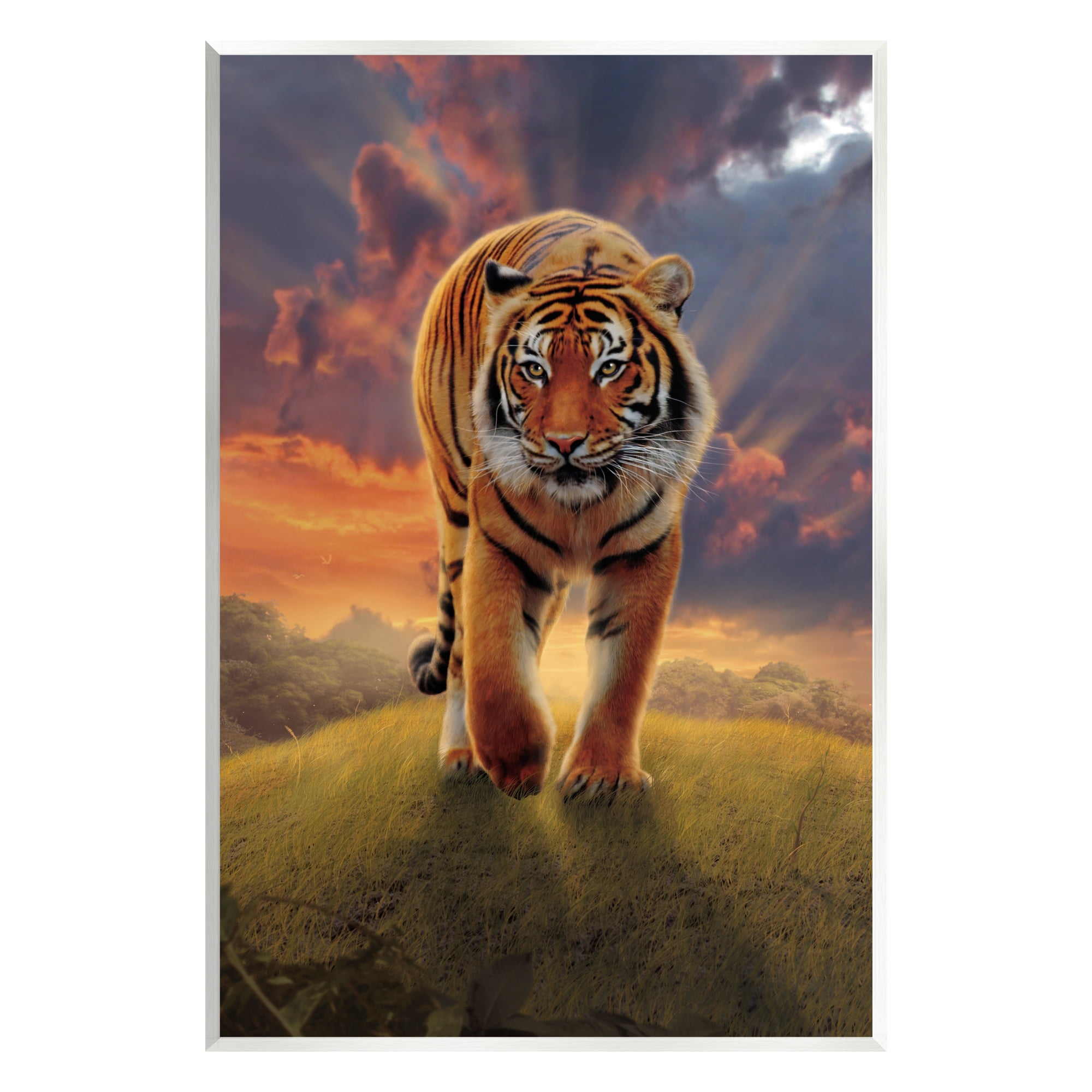 Stupell Industries Rising Tiger Sunset Animals & Insects Painting Unframed Art Print Wall Art, 13 x 19