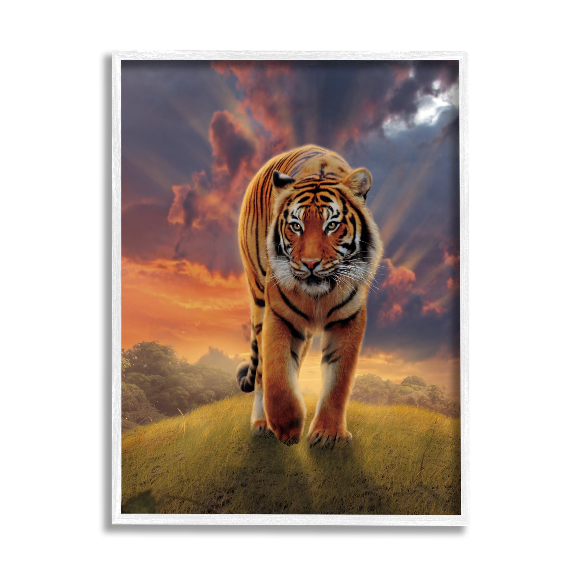 Stupell Industries Rising Tiger Sunset Animals & Insects Painting White Framed Art Print Wall Art, 24 x 30