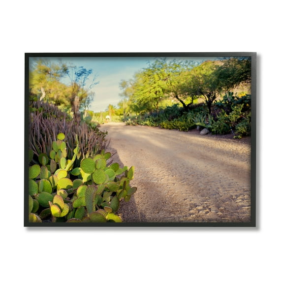 Stupell Industries Roadside Greenery Botanicals Arid Desert Cactus Plants Photograph Black Framed Art Print Wall Art, Design by Bill Carson Photography