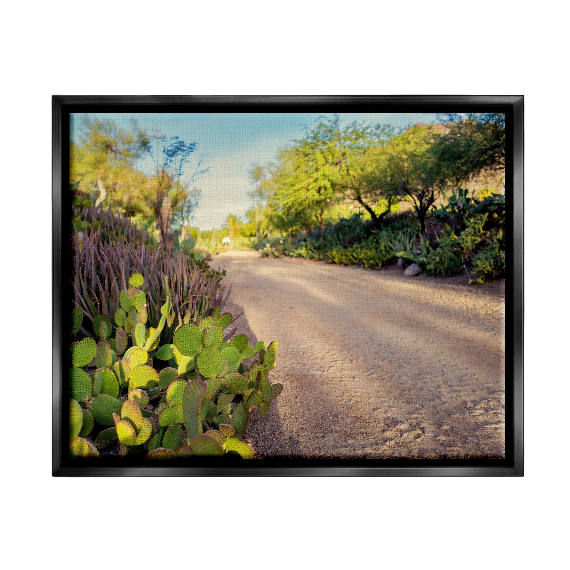Stupell Industries Roadside Greenery Botanicals Arid Desert Cactus Plants Photograph Jet Black Floating Framed Canvas Print Wall Art, Design by Bill Carson Photography