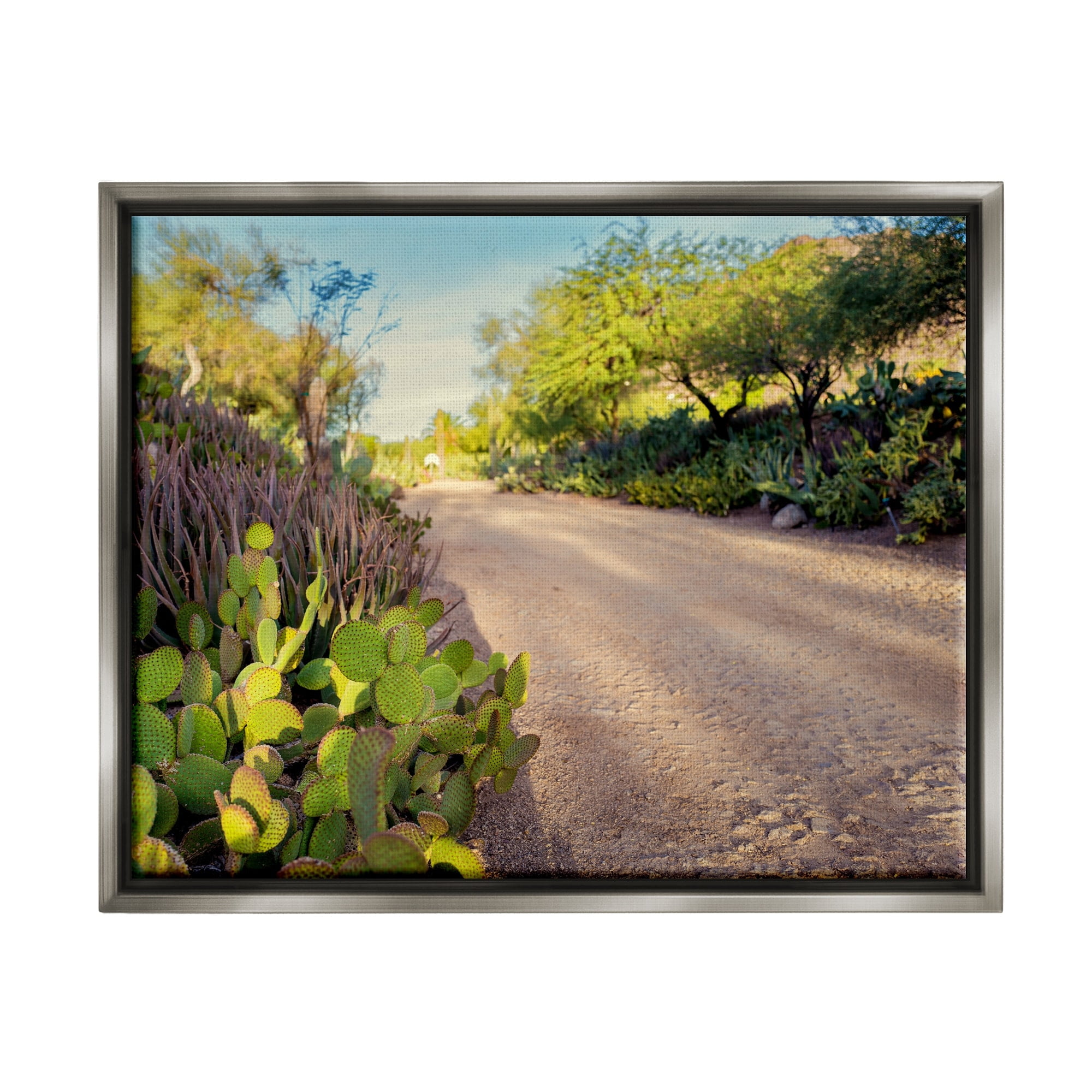 Stupell Industries Roadside Greenery Botanicals Arid Desert Cactus Plants Photograph Luster Gray Floating Framed Canvas Print Wall Art, Design by Bill Carson Photography