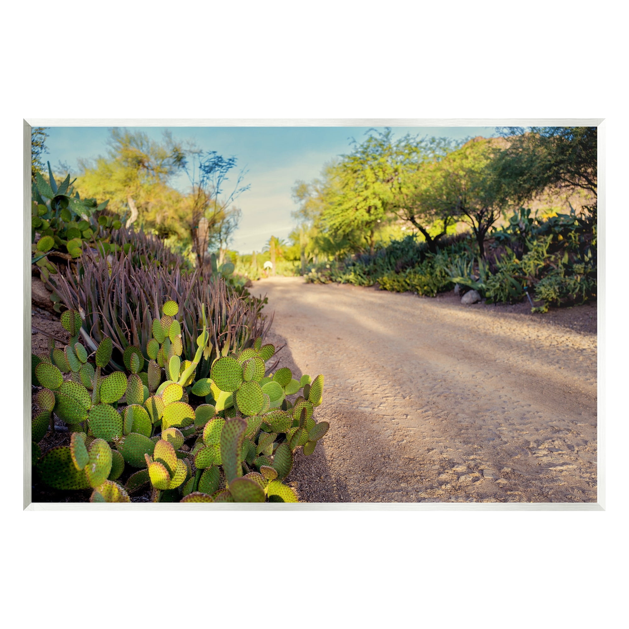 Stupell Industries Roadside Greenery Botanicals Arid Desert Cactus Plants Photograph Unframed Art Print Wall Art, Design by Bill Carson Photography