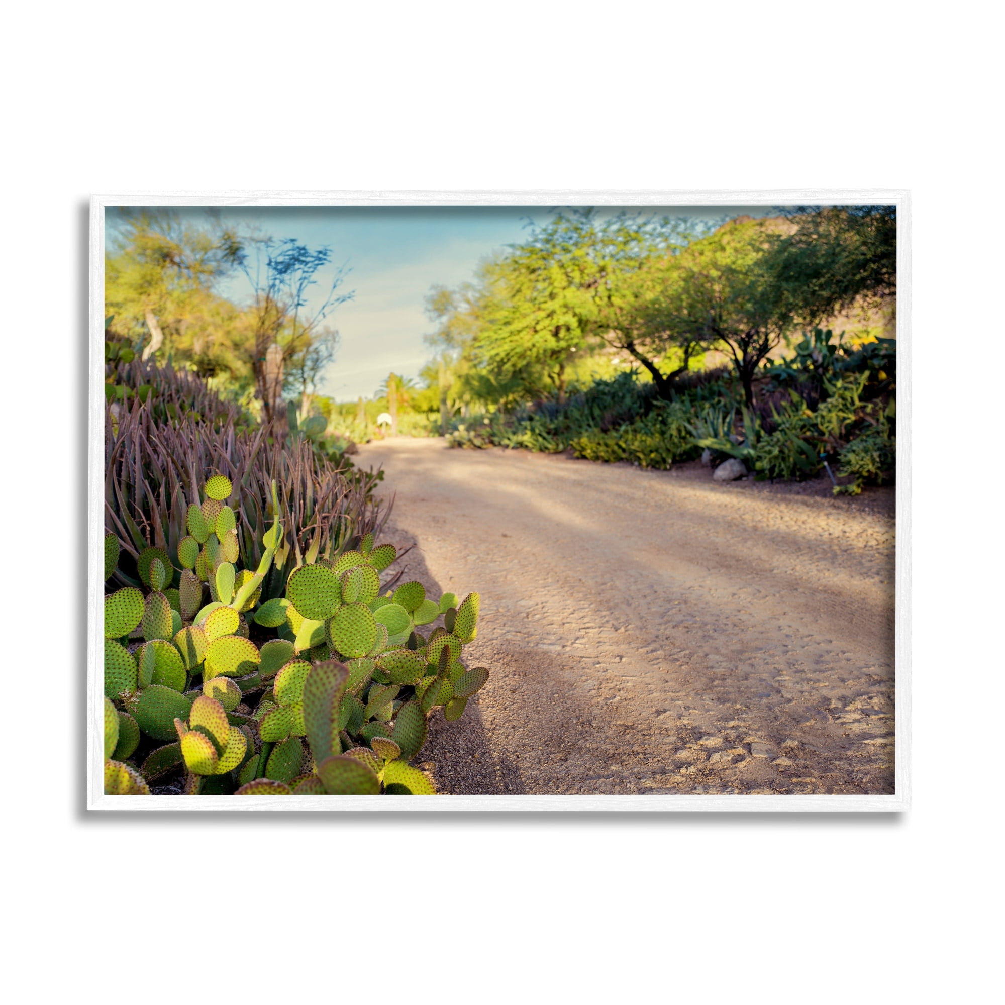 Stupell Industries Roadside Greenery Botanicals Arid Desert Cactus Plants Photograph White Framed Art Print Wall Art, Design by Bill Carson Photography