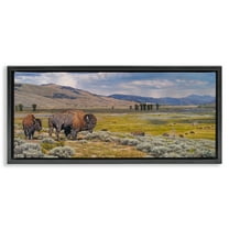 Stupell Industries Roaming Southwestern Bison Landscape Painting Black Floater Framed Art Print Wall Art, 25 x 11