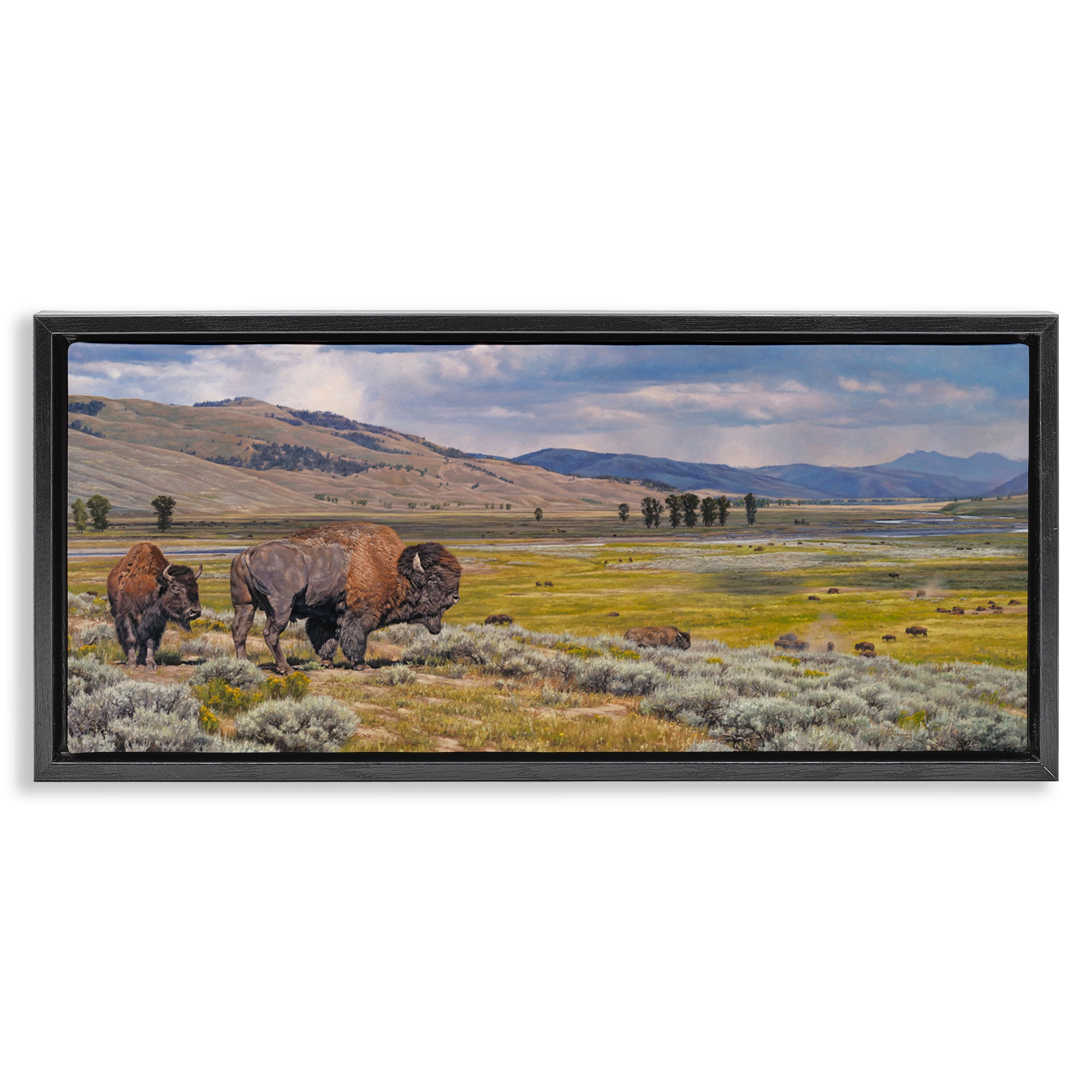 Stupell Industries Roaming Southwestern Bison Landscape Painting Black Floater Framed Art Print Wall Art, 31 x 14