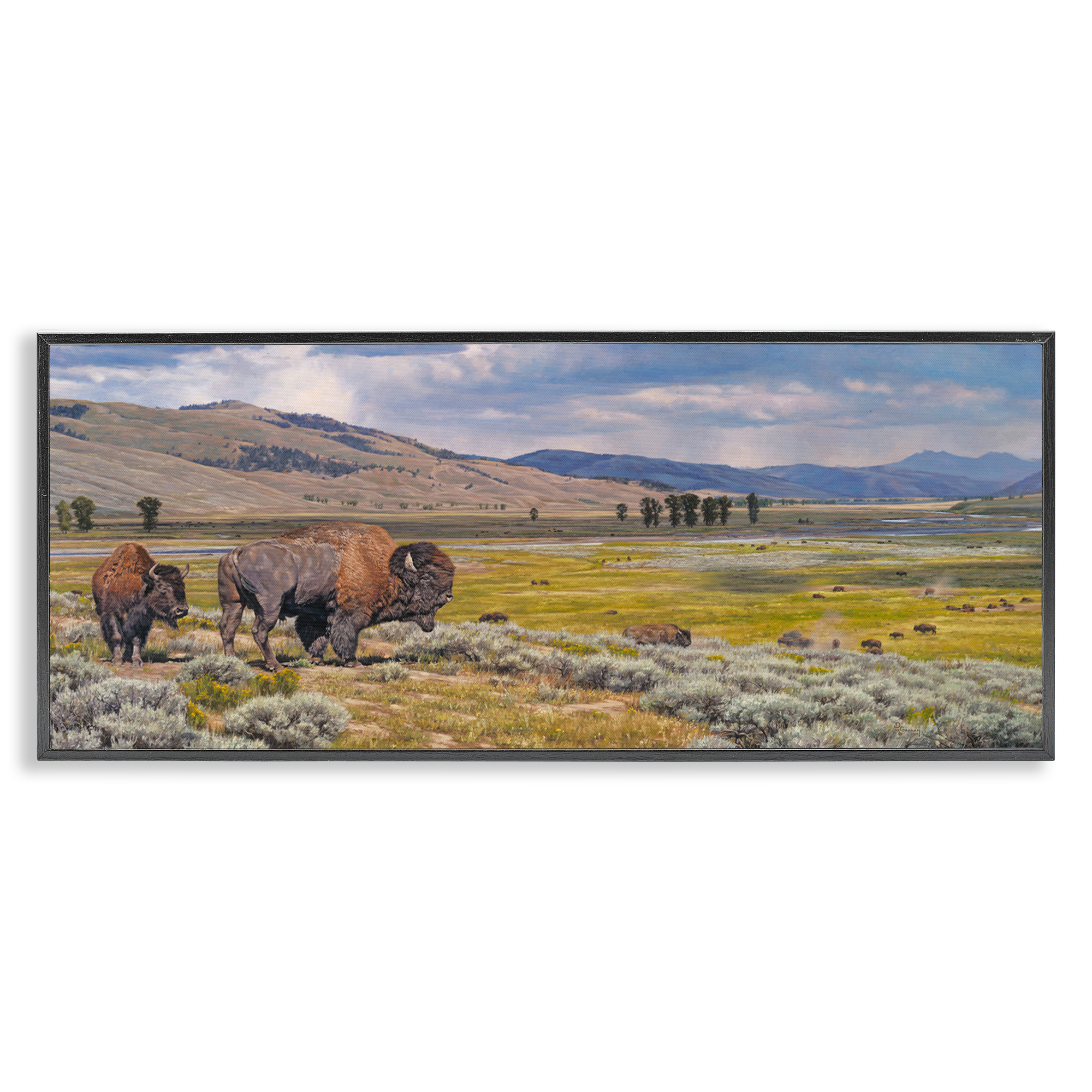 Stupell Industries Roaming Southwestern Bison Landscape Painting Black Framed Art Print Wall Art, 24 x 10