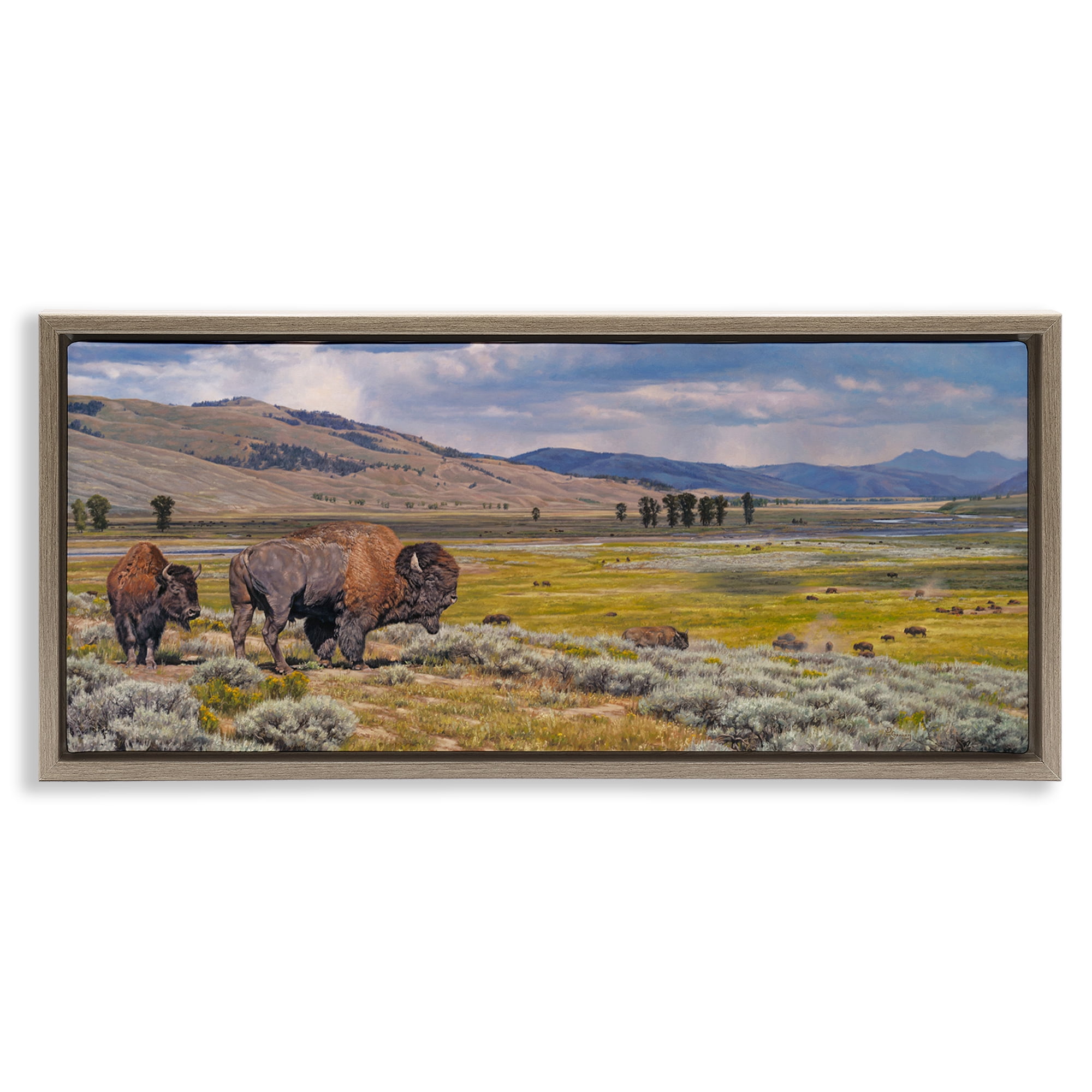 Stupell Industries Roaming Southwestern Bison Landscape Painting Brown Floater Framed Art Print Wall Art, 25 x 11