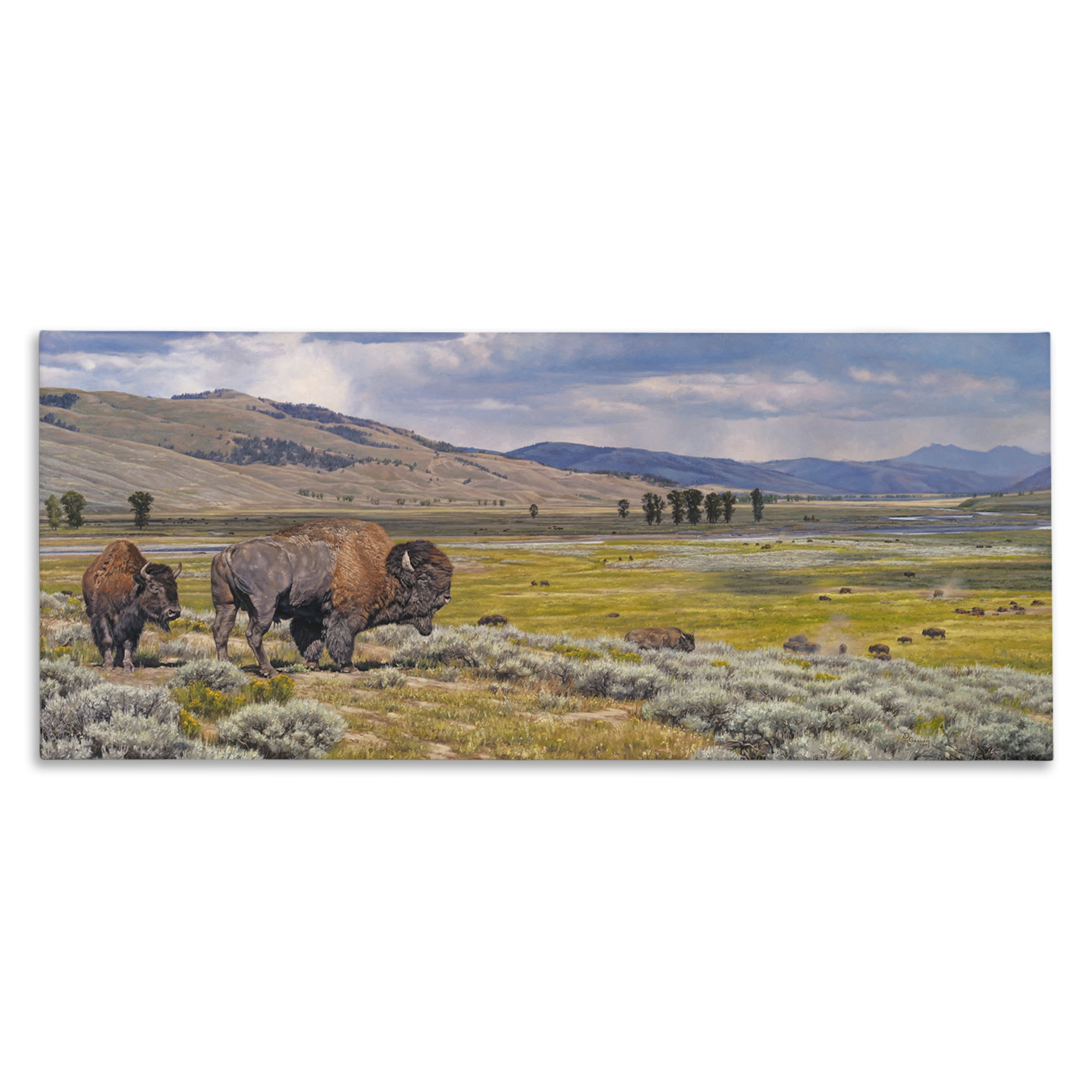 Stupell Industries Roaming Southwestern Bison Landscape Painting Gallery Wrapped Canvas Art Print Wall Art, 40 x 17