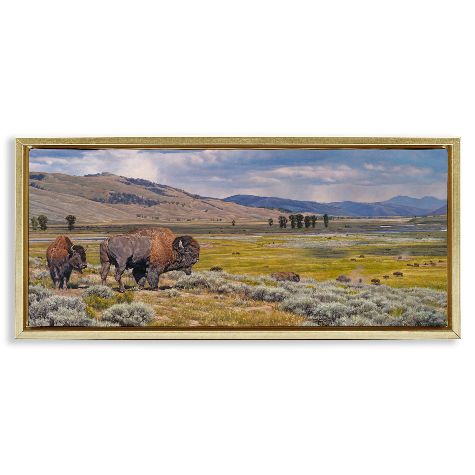 Stupell Industries Roaming Southwestern Bison Landscape Painting Gold Floater Framed Art Print Wall Art, 25 x 11