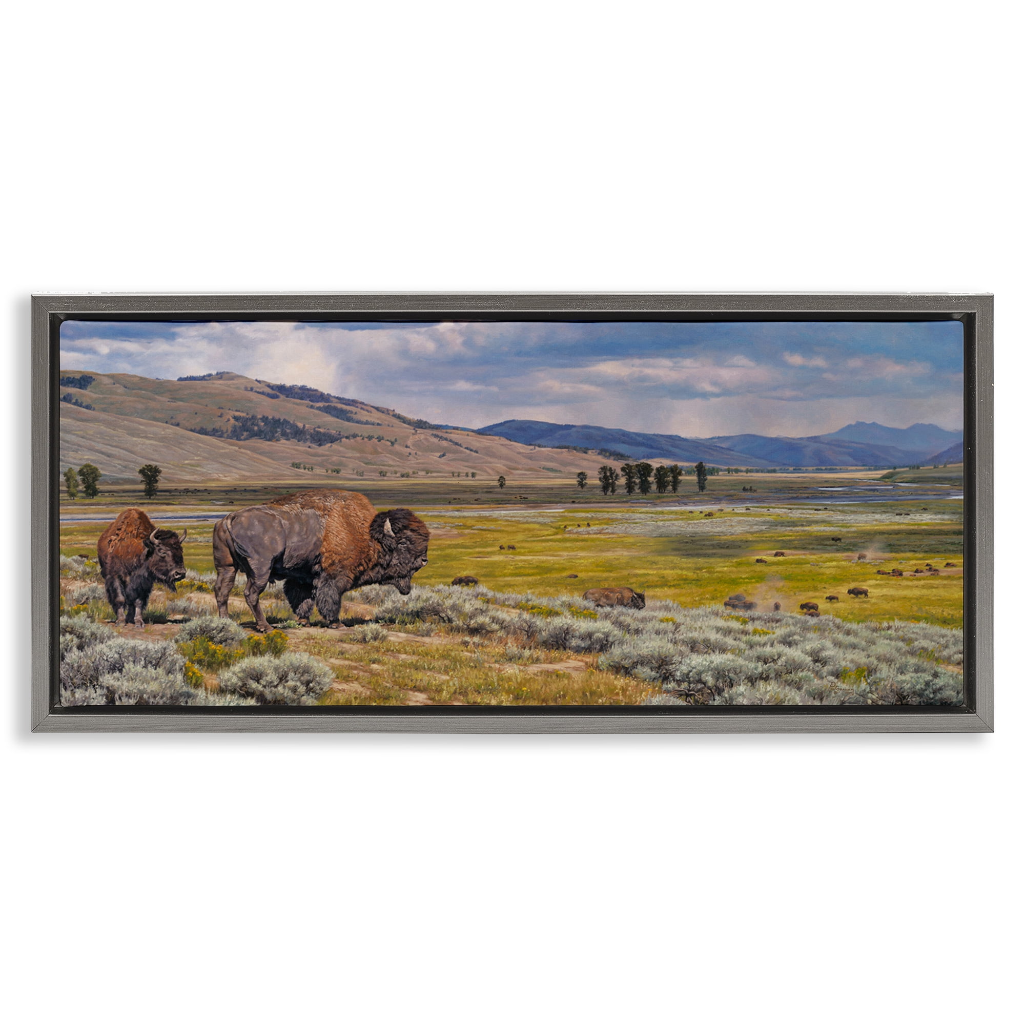 Stupell Industries Roaming Southwestern Bison Landscape Painting Gray Floater Framed Art Print Wall Art, 31 x 14