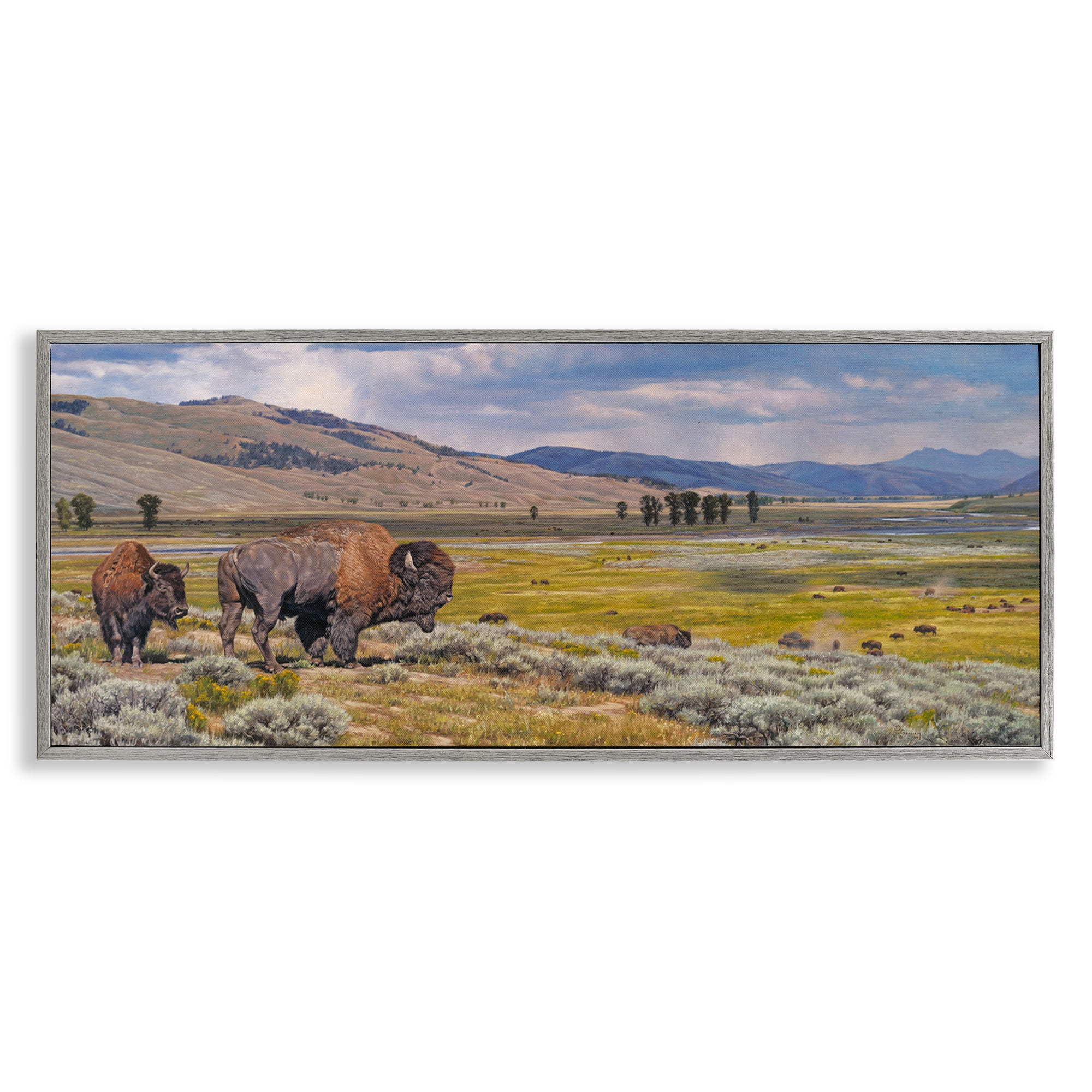 Stupell Industries Roaming Southwestern Bison Landscape Painting Gray Framed Art Print Wall Art, 30 x 13