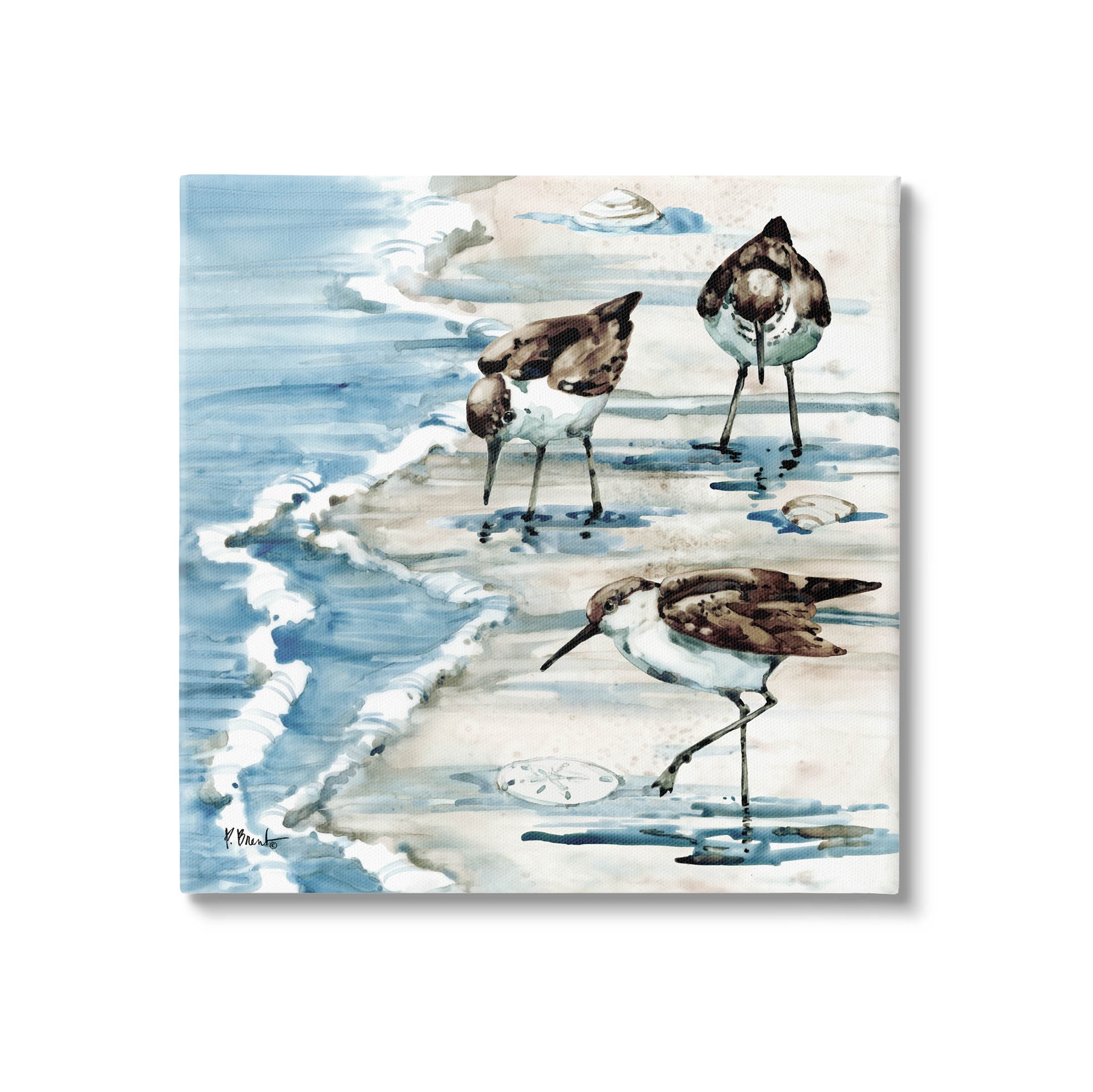 Stupell Industries Rockhampton Sandpipers Beach Grazing Painting Gallery Wrapped Canvas Print