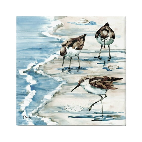Stupell Industries Rockhampton Sandpipers Beach Grazing Painting Gallery Wrapped Canvas Print Wall Art, Design by Paul Brent