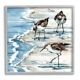 thumbnail image 1 of Stupell Industries Rockhampton Sandpipers Beach Grazing Painting Gray Framed Art Print Wall Art, Design by Paul Brent, 1 of 7