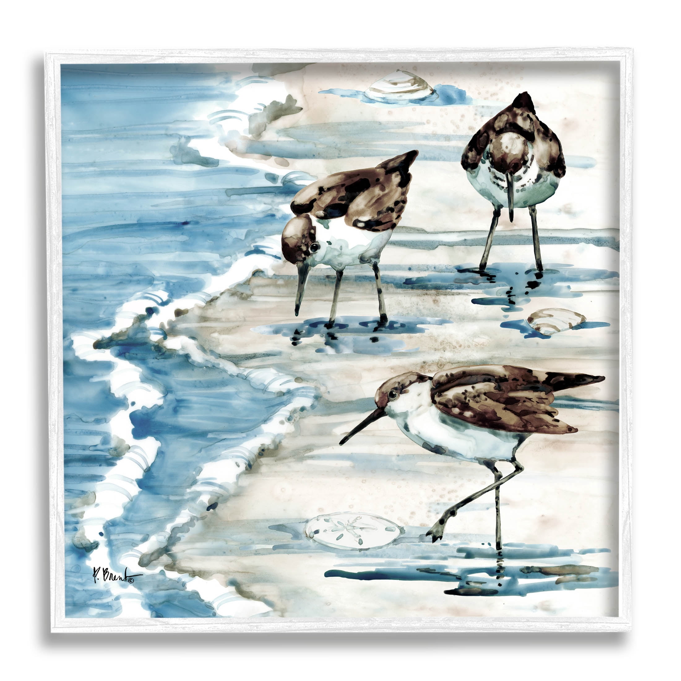 Stupell Industries Rockhampton Sandpipers Beach Grazing Painting White Framed Art Print Wall Art, Design by Paul Brent