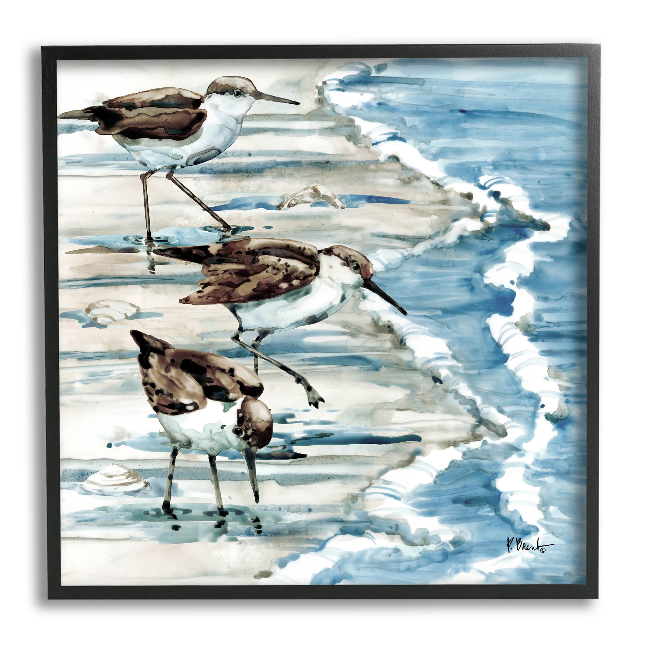 Rockhampton Sandpipers Beach Ripples Canvas Print with Black Frame