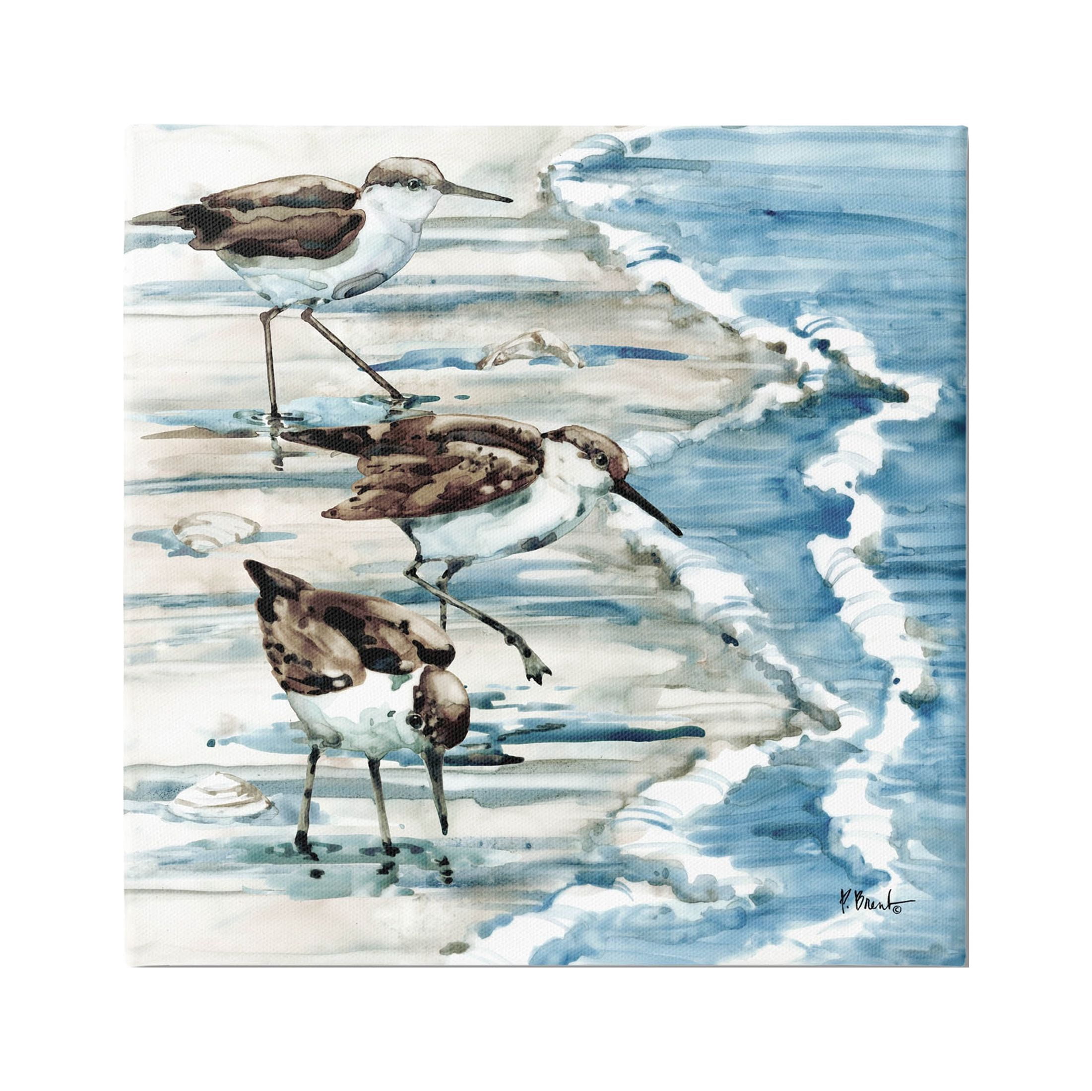 Stupell Industries Rockhampton Sandpipers Beach Ripples Painting Gallery Wrapped Canvas Print