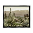 thumbnail image 1 of Stupell Industries Rocky Desert Landscape Landscape Photography Black Floater Framed Canvas Art Print Wall Art, 21 x 17, 1 of 10