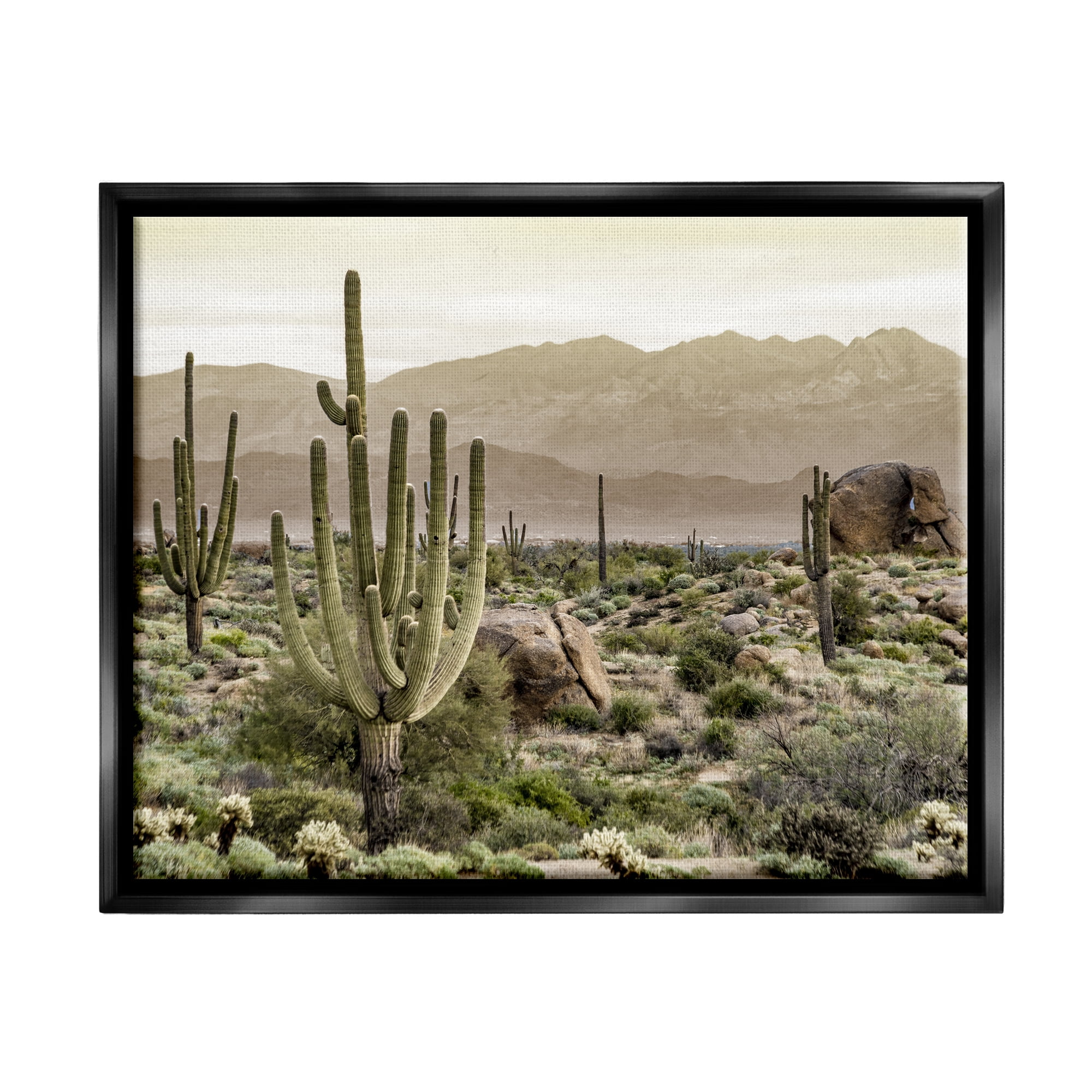 Stupell Industries Rocky Desert Landscape Landscape Photography Black Floater Framed Canvas Art Print Wall Art, 31 x 25