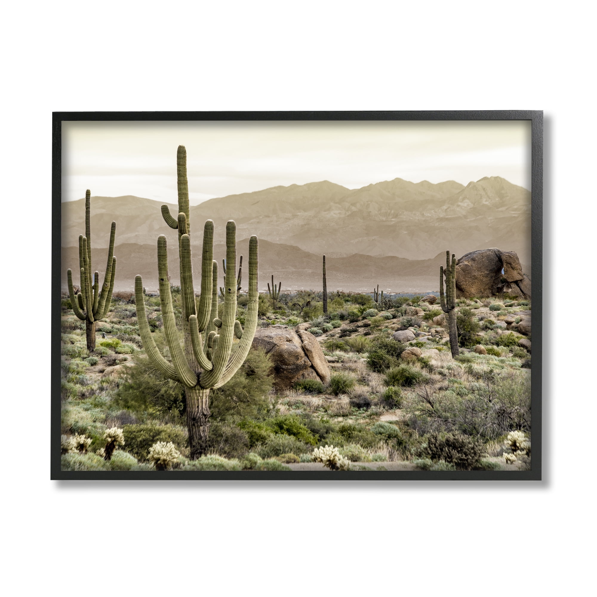 Stupell Industries Rocky Desert Landscape Landscape Photography Black Framed Art Print Wall Art, 20 x 16