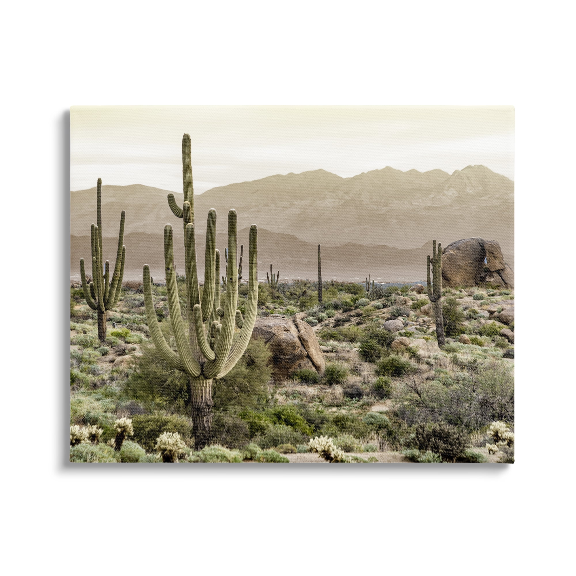 Stupell Industries Rocky Desert Landscape Landscape Photography Gallery Wrapped Canvas Art Print Wall Art, 30 x 24